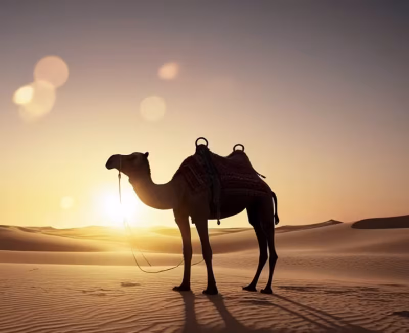 Lanzarote on a Budget: 7 Things Worth Paying For — and 5 You Can Enjoy for Free