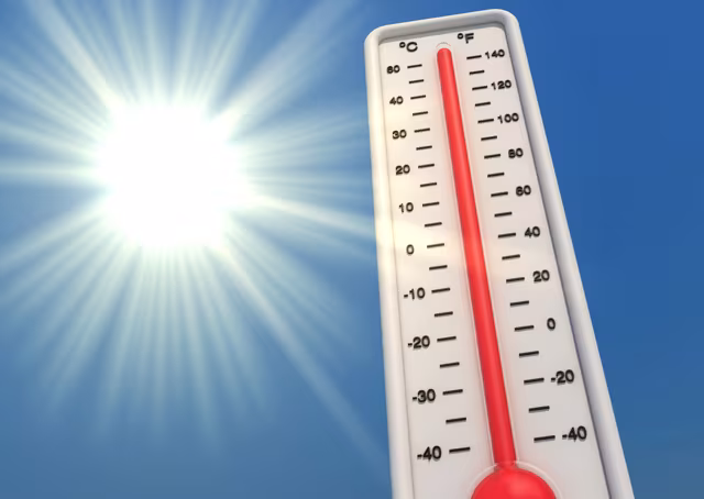 Haría Tops 36°C as Temperatures Vary Dramatically Across Lanzarote