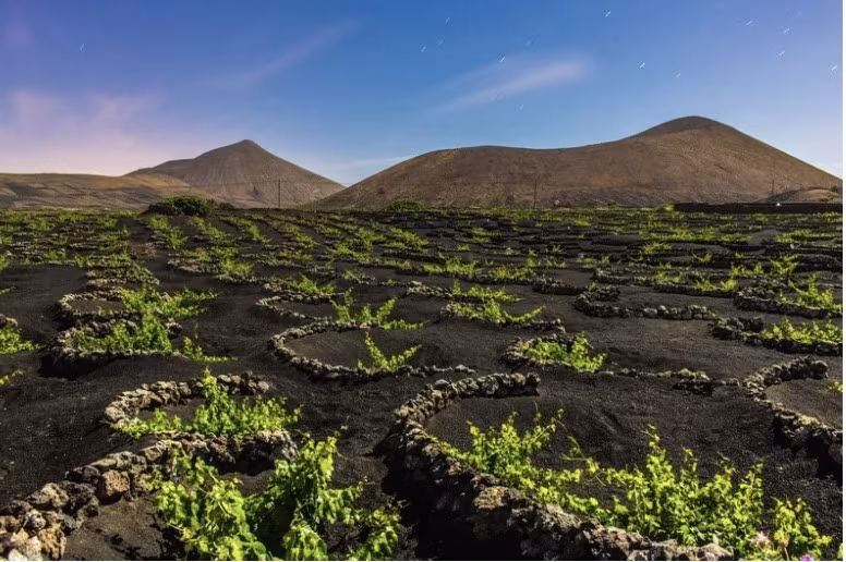 Top 10 Things You Don’t Want to Miss When Visiting Lanzarote
