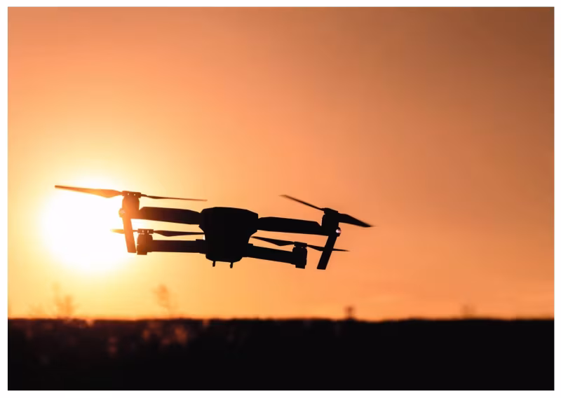Lanzarote Warns Drone Users: Protect the Island’s Birds and Wildlife