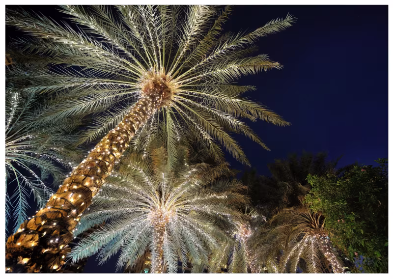 Would You Consider Christmas in the Lanzarote Sun?