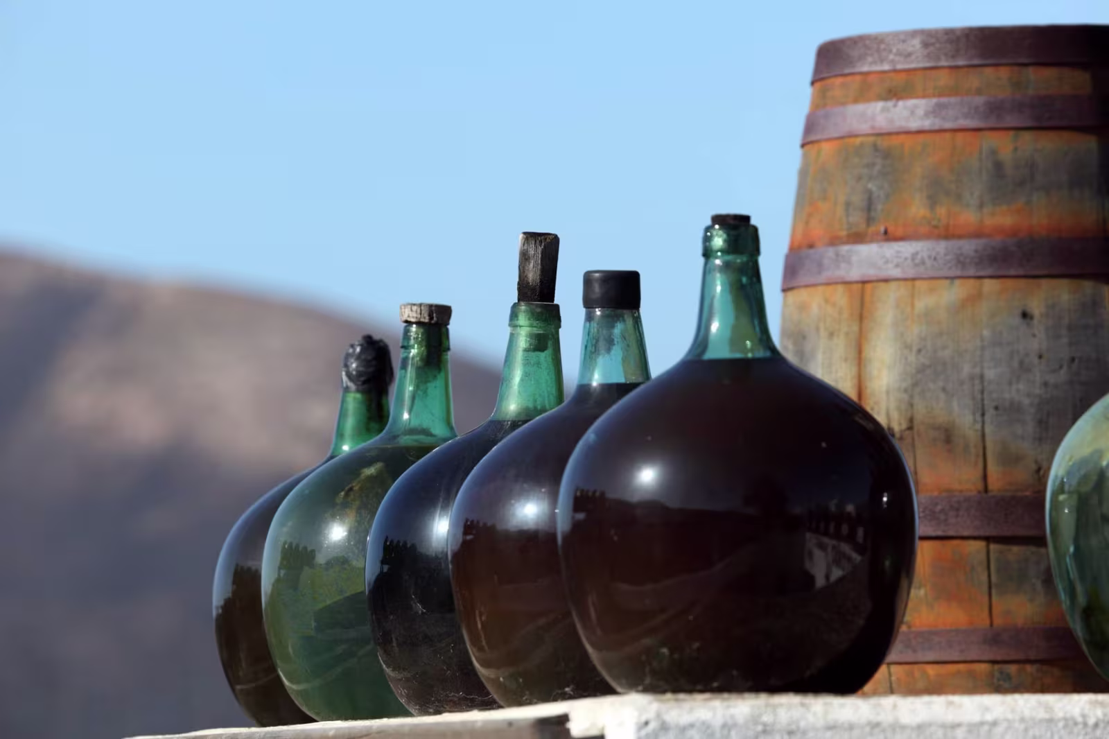 Lanzarote Wine