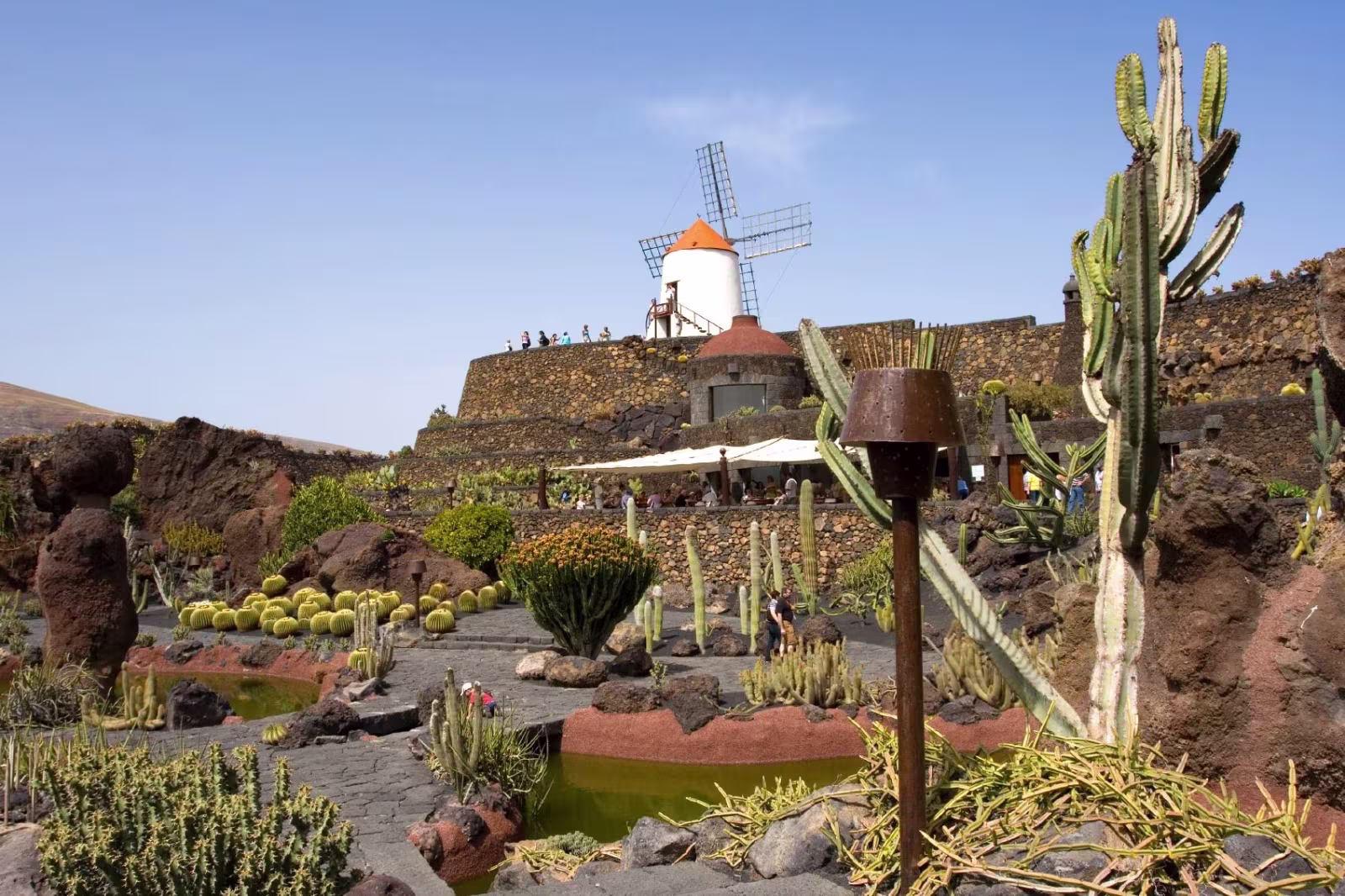 Lanzarote Jardin de Cactus