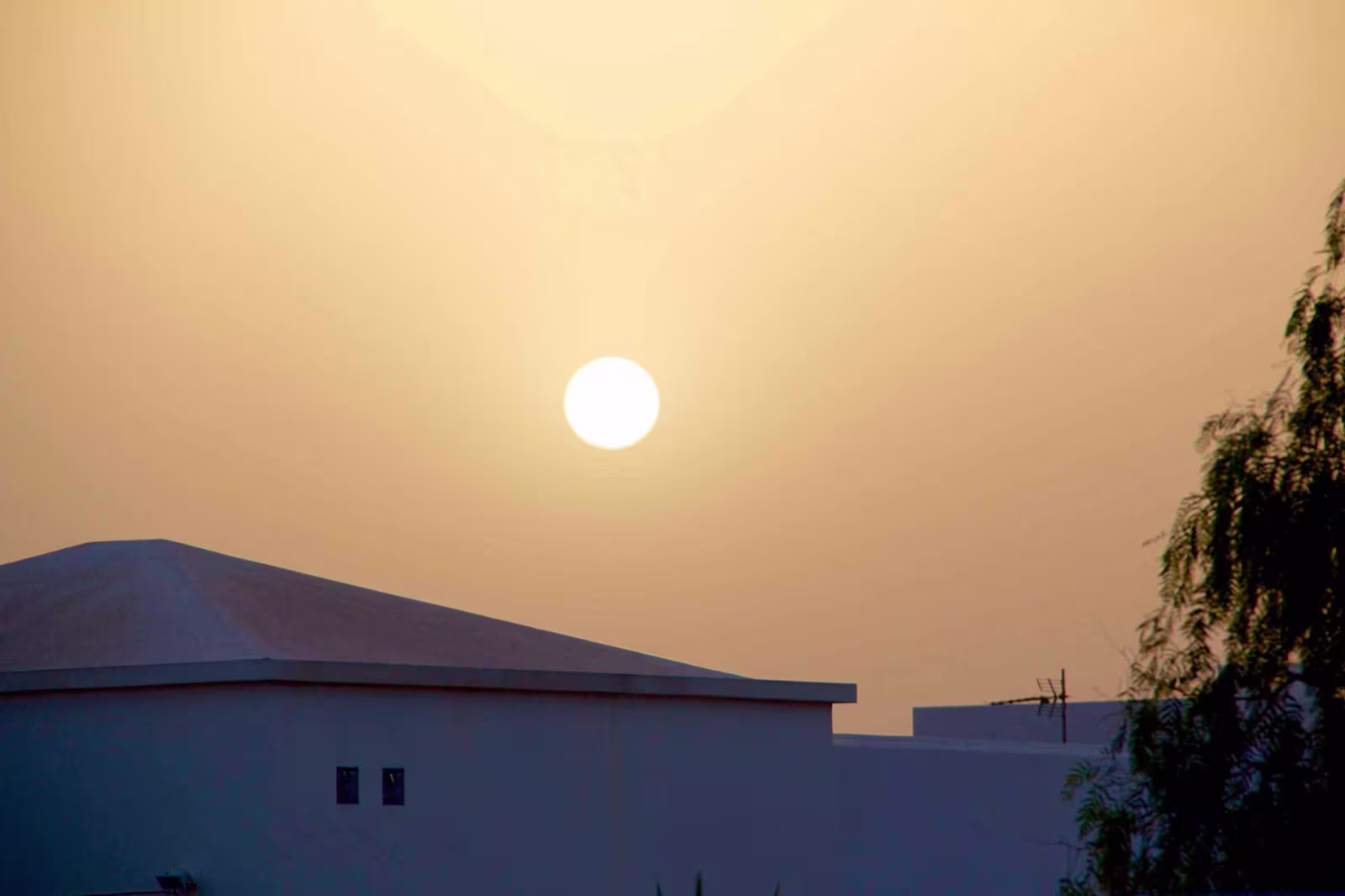 Lanzarote Calima