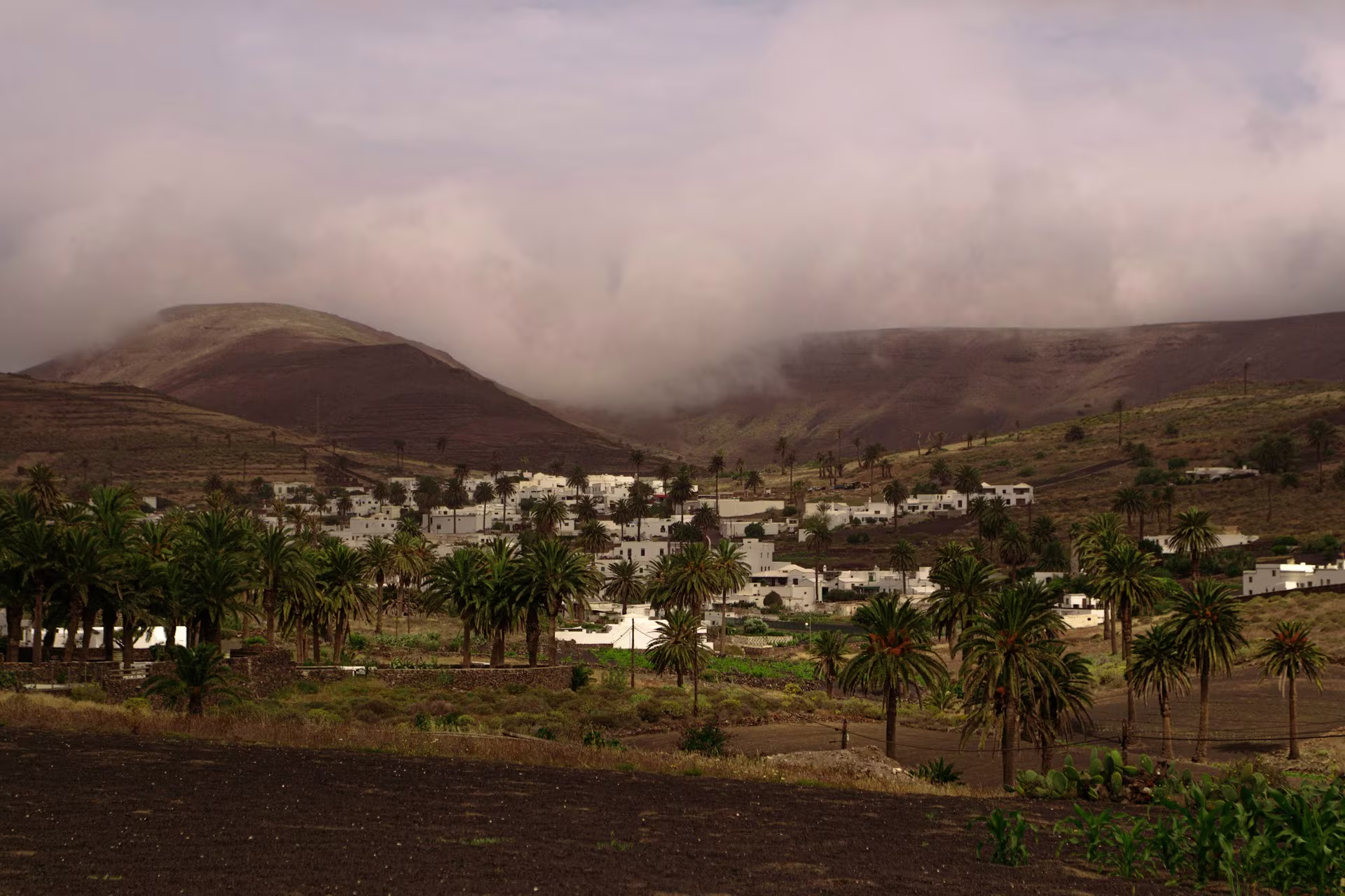 Valley of 1000 Palms from the Mirador de Haria