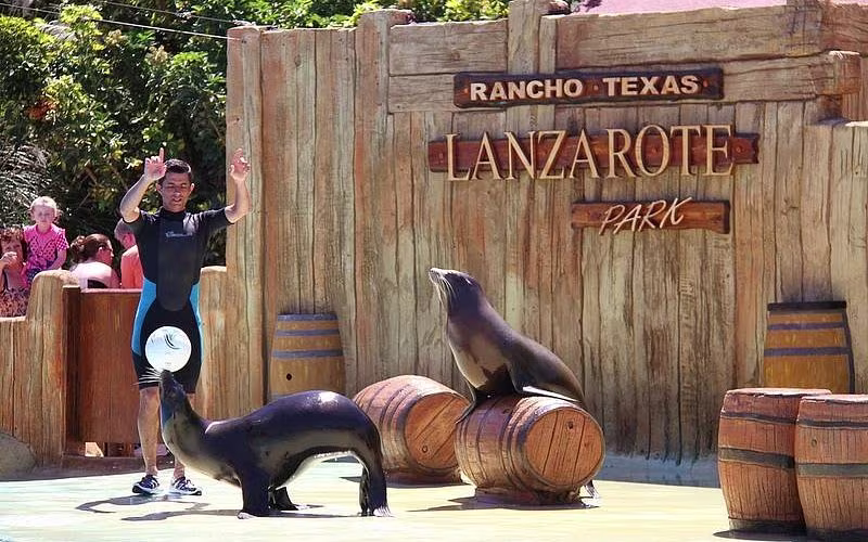 Rancho Texas Lanzarote Sea Lion show