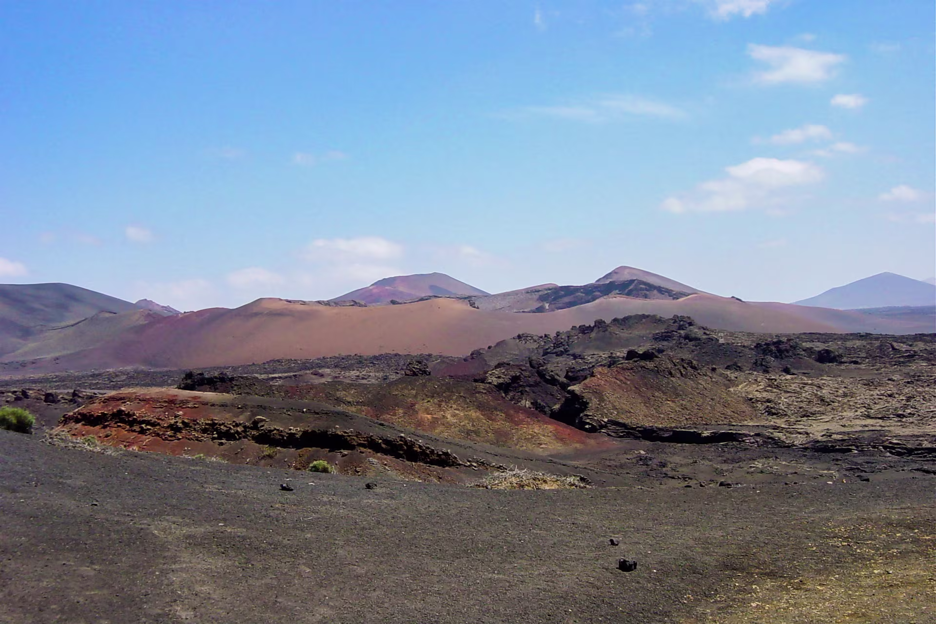 Lanzarote Wines
